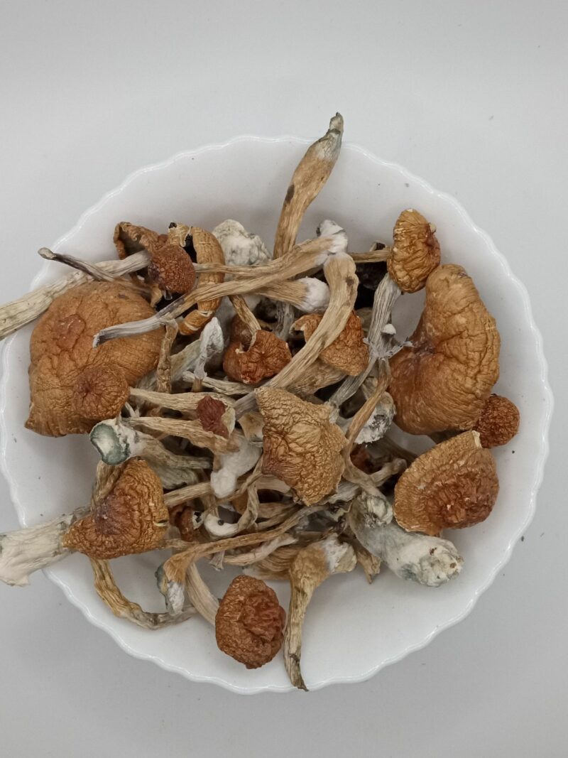 Mexican Magic Mushrooms - Canna Care BC